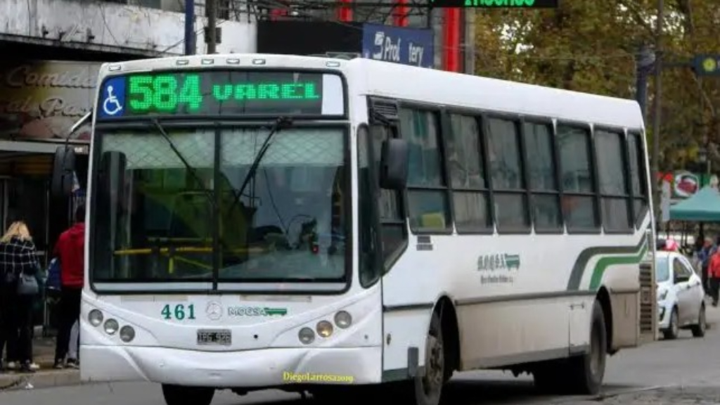 Paro sorpresivo de colectivos en la zona Sur del GBA afecta a miles de usuarios este viernes 7 de noviembre de 2025