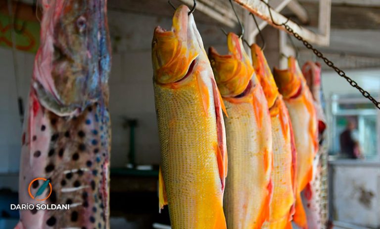 Impulsan en Rosario una feria itinerante de pescadores por los barrios