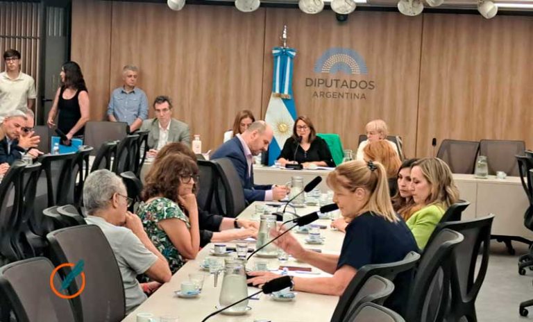 Fentanilo: avanza la Comisión hacia el informe final con fuertes criticas a los funcionarios libertarios