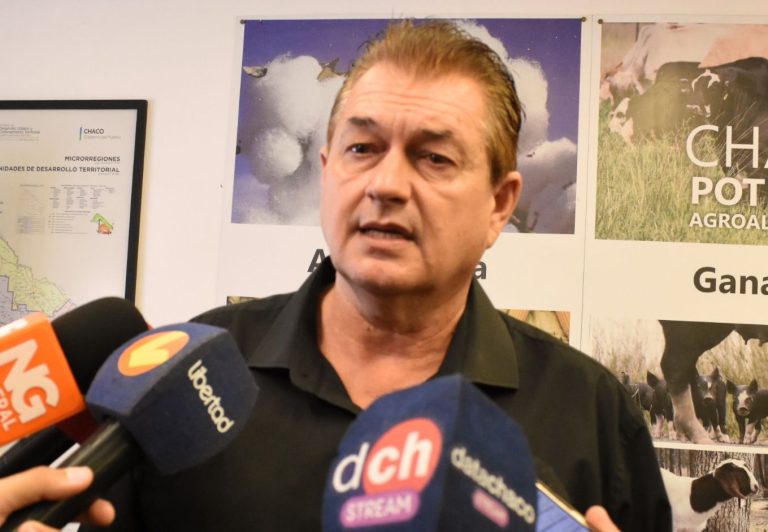 🔴 PROVINCIALES | Dudik advierte que la cautelar deja al Chaco sin un marco legal para cuidar el ambiente y paraliza la actividad forestal