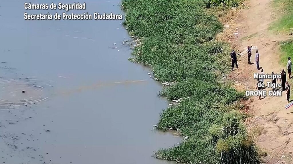Tigre, video, mujer, río, arroyo, Troncos del Talar