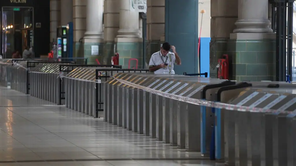 Tren Mitre, ramal Tigre