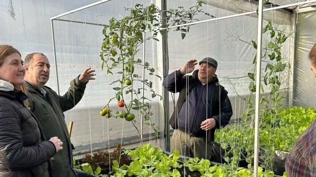 Lomas de Zamora, Jardinería