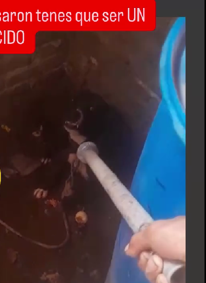 🔴 SÁENZ PEÑA | Investigan un presunto caso de maltrato animal tras la viralización de un video