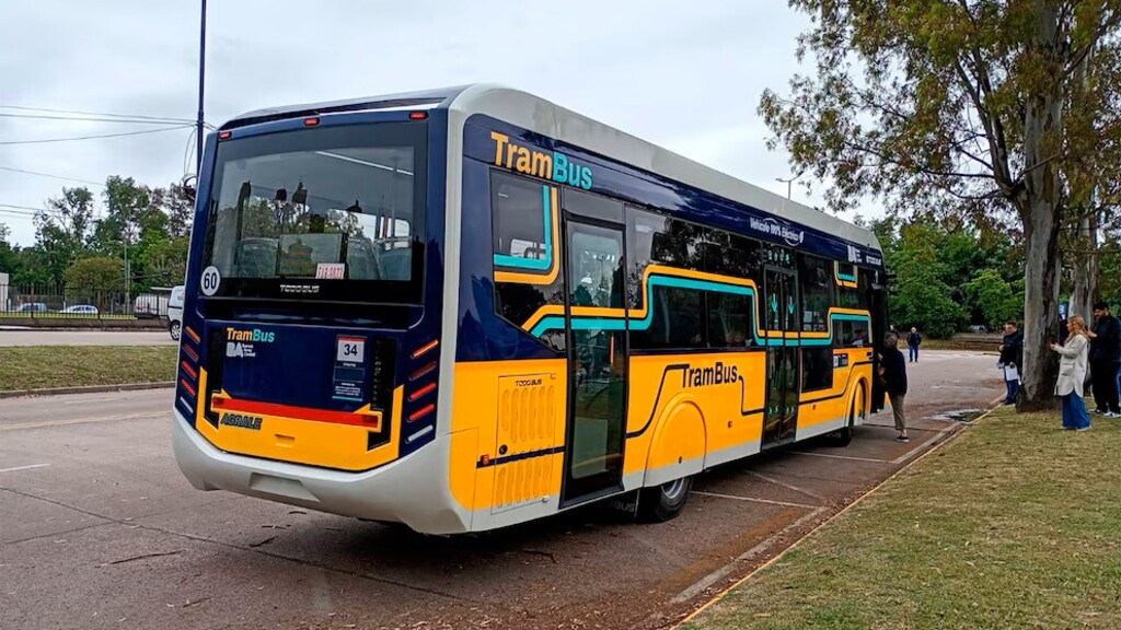 Trambus eléctrico, CABA