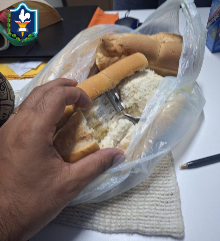 馃敶 S脕ENZ PE脩A | Intentaron ingresar pastillas ocultas en pan y fueron detectadas