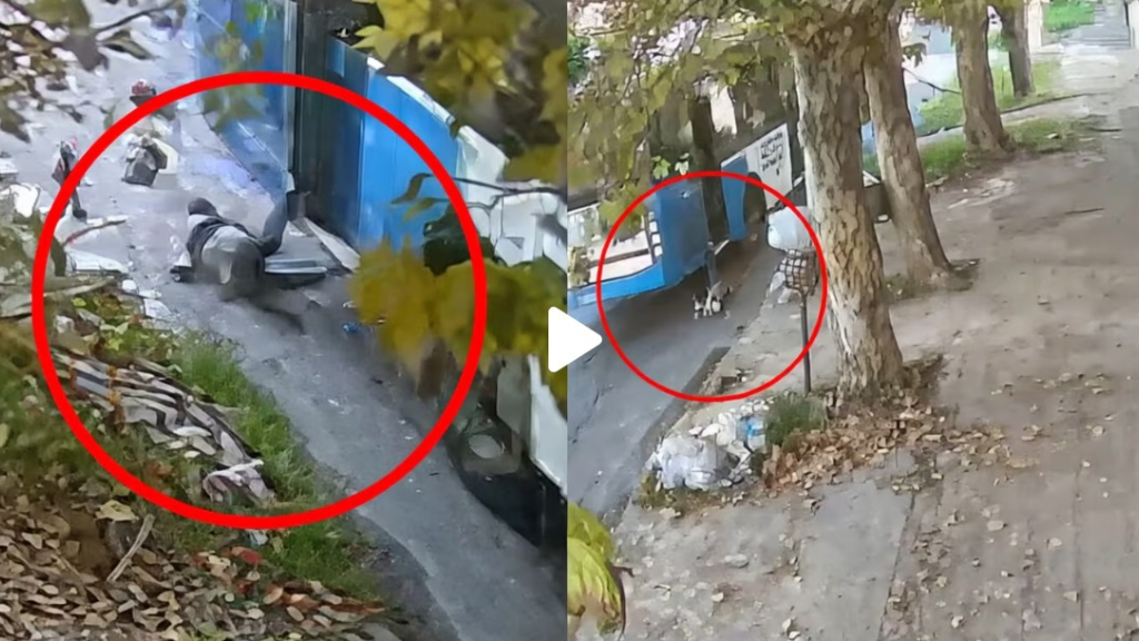 El nene de cinco años en el momento que fue arrastrado por el colectivo de la línea 283, en la intersección de Plumerillo y Canadá, en Villa Fiorito.