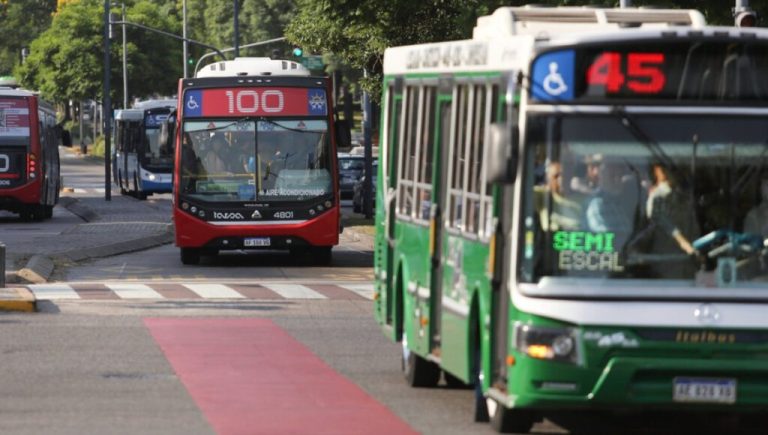 Buscan eliminar una línea de colectivos del Sur del GBA: sería tomada por otra para generar un beneficio a los usuarios