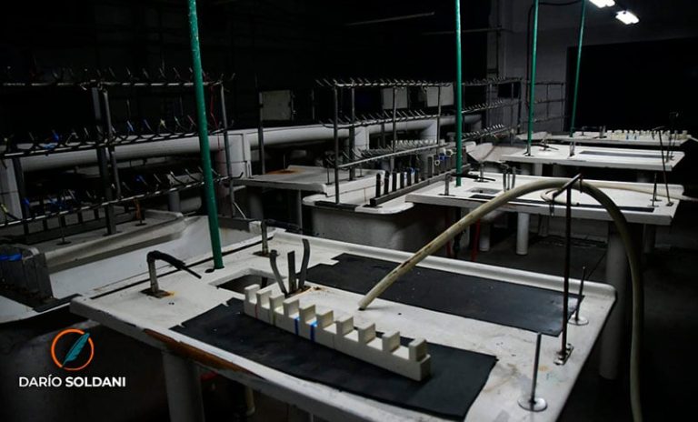 Crisis de las empresas santafesinas: se perdieron 358 industrias y más de 8.000 empleos desde que asumió Milei