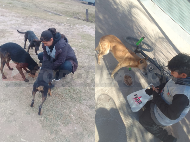 🔴 SÁENZ PEÑA | Guada y Dylan, los hermanitos que recorren la ciudad en bicicleta para alimentar a los perros callejeros