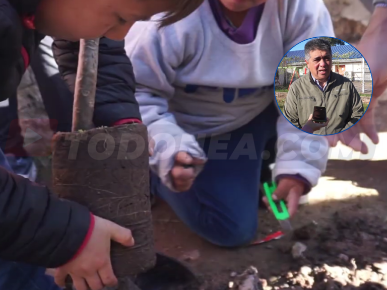 馃敶 S脕ENZ PE脩A | 芦Sembrando Futuro禄: el municipio fortalece las acciones de forestaci贸n y educaci贸n ambiental en las escuelas