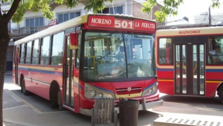 Mariel Fernández celebró la aprobación del nuevo sistema de transporte público en Moreno: cómo funcionará