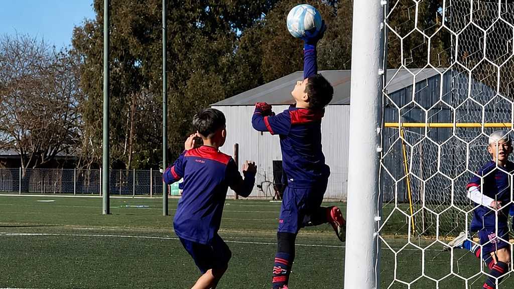 Giovanni inferiores tigre