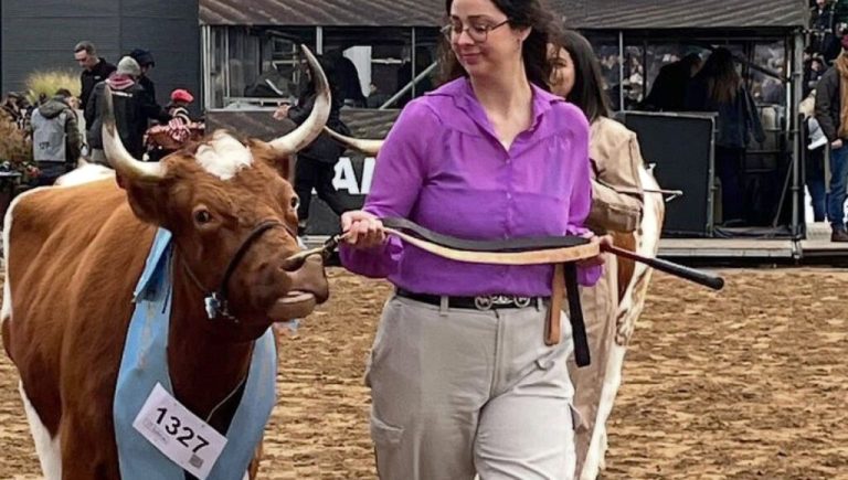 La historia detrás de la vaca Yoli, la campeona de La Rural que fue criada en Lomas de Zamora