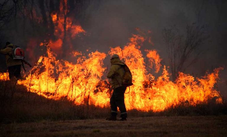 Incendios en San Luis: continúa el operativo para apagar las llamas en Estancia Grande