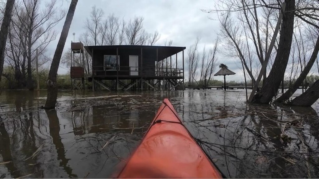 San Fernando, Delta, profesor