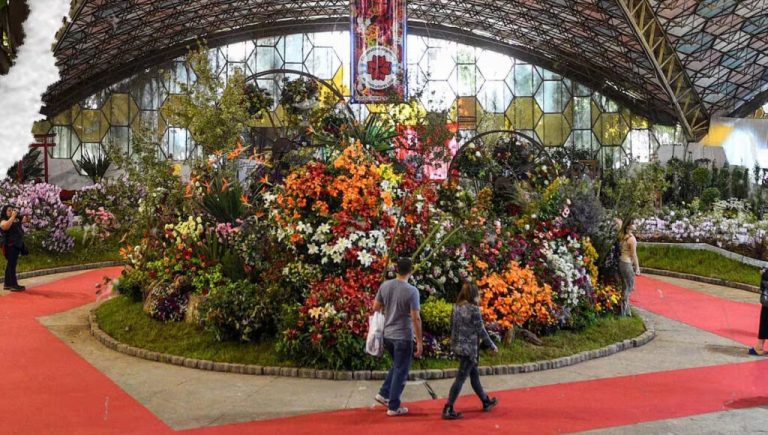 Buscan voluntarios para trabajar en la Fiesta de la Flor de Escobar: qué puestos necesita y cómo participar