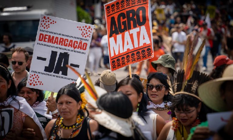 Asesinaron a más de 120 ambientalistas en 2025: el 85% fueron en América Latina