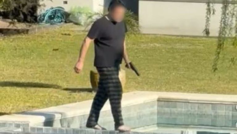 Filmaron a un vecino de Nordelta disparando a un grupo de carpinchos: los cargos que enfrenta