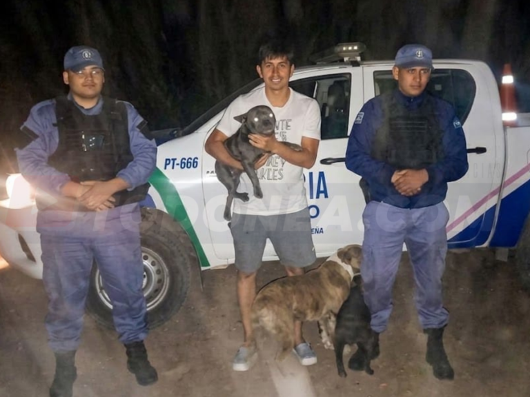 🔴 SÁENZ PEÑA | Rescataron a “Roco”, un Bulldog Francés que había sido robado de una vivienda
