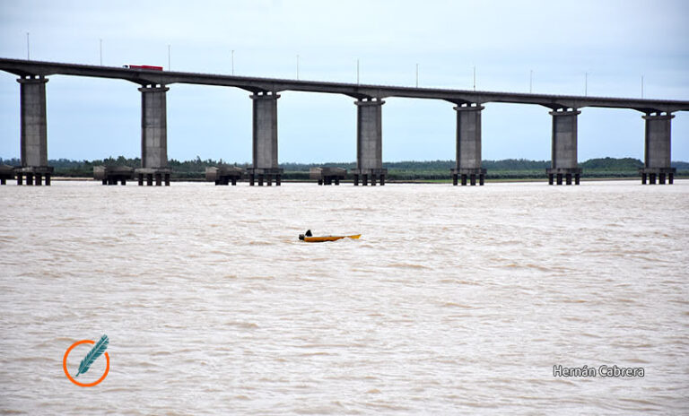 Crecida del Paraná: anticipan que hacia fines de octubre podría superar los 4 metros y piden extremar las precauciones